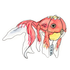 Рыбка-фонарик