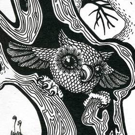 Лесные тайны