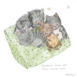 На подушке сладко спят Наших четверо котят