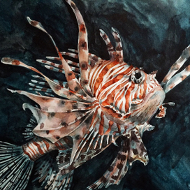 Морской дьявол