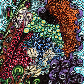 Зенарт "Морские пространства"