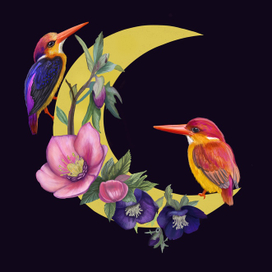 Рубиновые зимородки и морозник