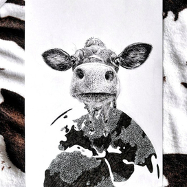 Мировая корова