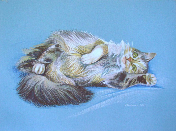 Сладкая кошачья лень