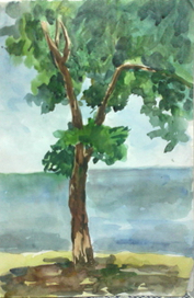 Дерево. Акварель.