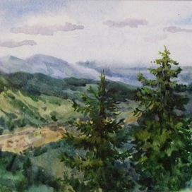 "Ели.Карпаты"