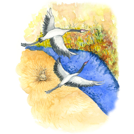 Иллюстрации для книги Листопадничек - Соколов-Микитов И.С