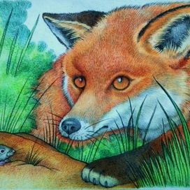 Не поймаешь!