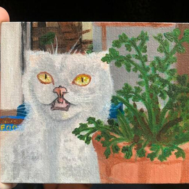 Кот на отдыхе