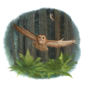 Ночная охота