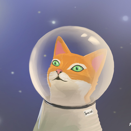 Space cat