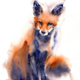 Молодая лисица