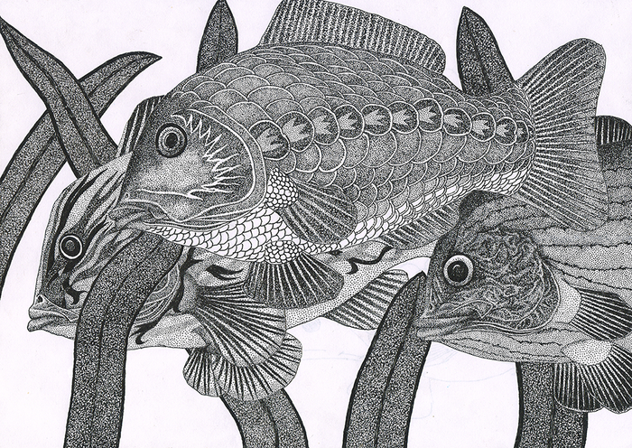 Авторская переработка рыбы-) "Три карася"