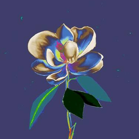 Космический цветок