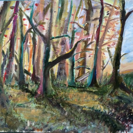 Лес в межсезонье