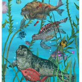 Морские зверушки.