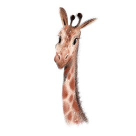 Giraffe🌿