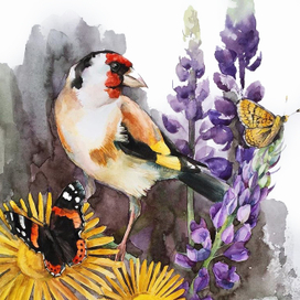 Щегольское лето