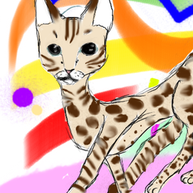 Моя кошка Тася