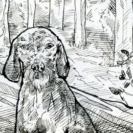 "Nomads" illustration