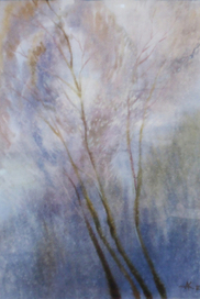 Утренние зайчики