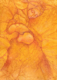 Золотой плод