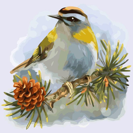 Пухлая пташка