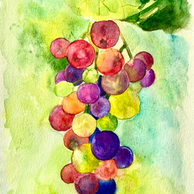 Акварель виноград 
