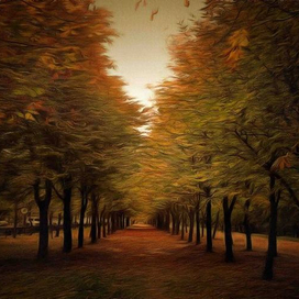 Осенняя аллея