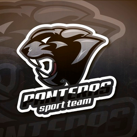 Panteras ST Logo