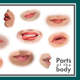 Parts of the body. Lips