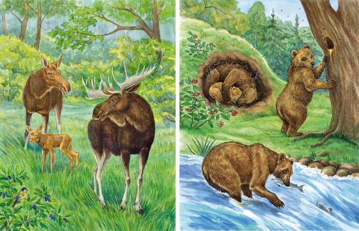 Мохнатые и рогатые