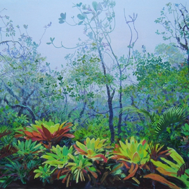 Туманное утро в горном лесу