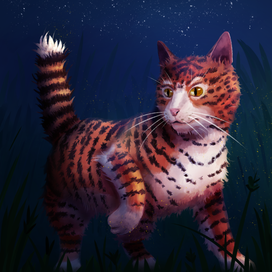 Мини тигр на прогулке