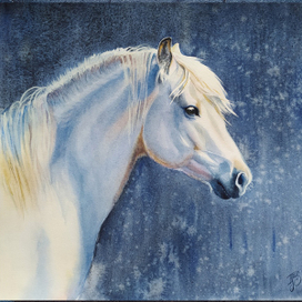 Белая лошадь