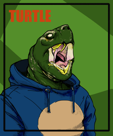 turtle