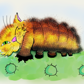 Котогусеница