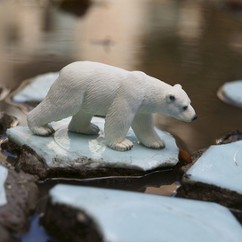 Среда обитания