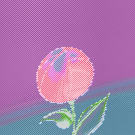 распускающийся цветок