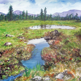 Тундра весна