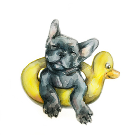 Французский бульдог