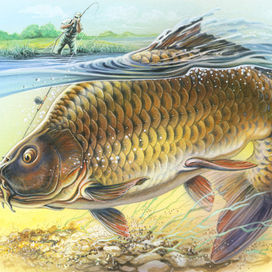 Противостояние .