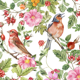 Птицы и ягоды