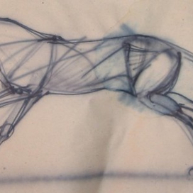 конь движение