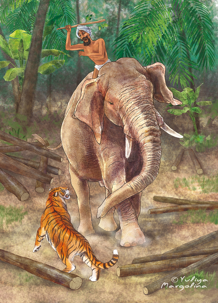 Слон vs Тигр