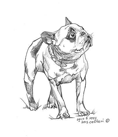 Оставленный в лесу *на три секунды*