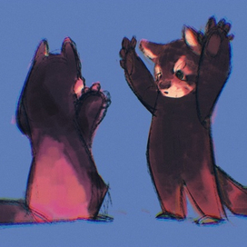 Красные панды