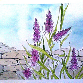 Летний полдень