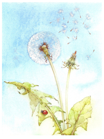 ...воспоминания о лете)