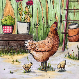 Птичий двор. Курочка с цыплятами.